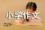 寒假游玩小学作文