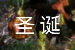 圣诞节的作文300字[精华6篇]