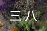 三八作文600字必备【5篇】