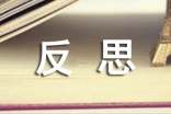 写反思作文300字9篇