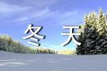 【必备】冬天的故事作文15篇