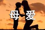 母爱的作文集合（7篇）