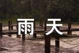 关于雨天作文300字3篇