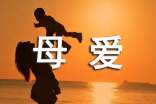 关于母爱的小学生作文汇总10篇