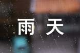 【精选】雨天作文300字8篇