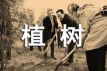 植树的作文[合集]