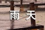 讨厌雨天作文300字9篇