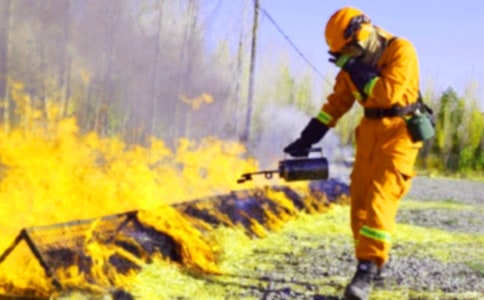 (合集)消防安全作文