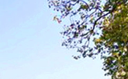 暖心午安说说30句