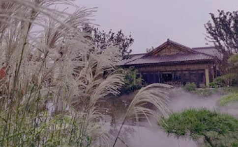 温泉作文500字汇总10篇