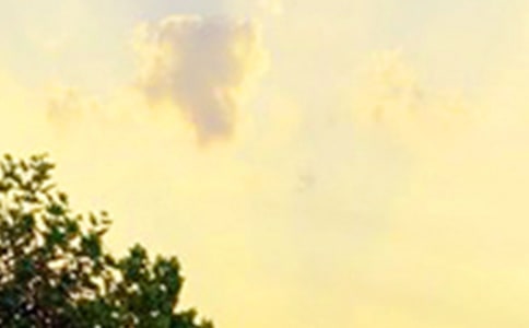 【热门】唯美的早安微信问候语29句