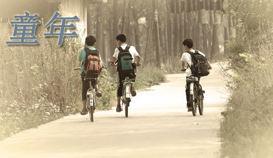 回忆童年的作文[经典10篇]