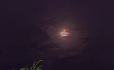 经典美好的晚安问候语合集54条