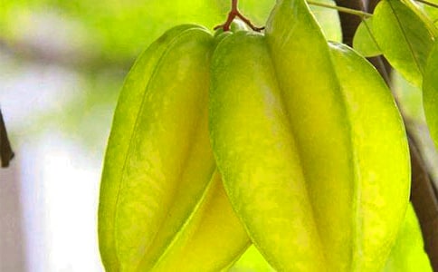 给杨桃的一封信