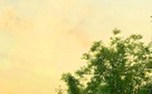 实用的新版早安QQ问候语51条