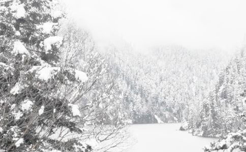 冬季写景作文13篇