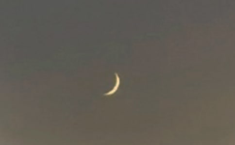 （精选）月亮的作文300字10篇