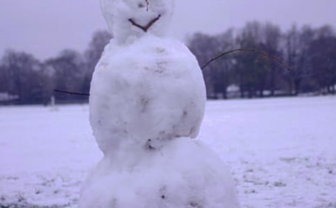 冬天的雪作文经典【15篇】