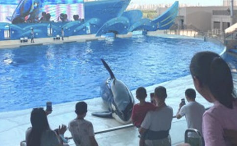 [集合]游海洋公园的作文10篇