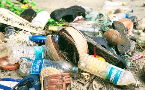 未来的垃圾桶作文优选【15篇】