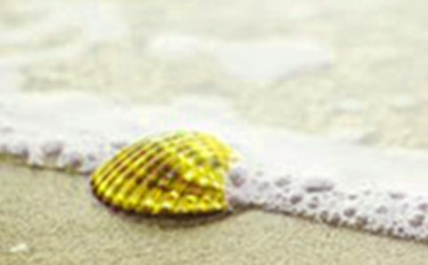 贝壳作文300字集合【10篇】