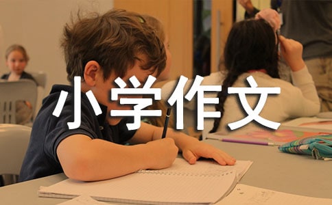 实用的树叶小学作文汇编9篇