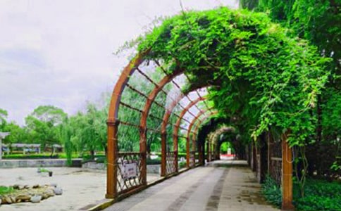 公园踏青作文300字6篇