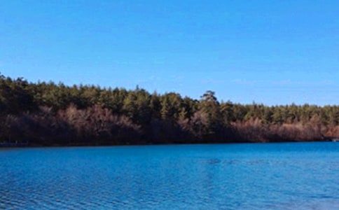 长白山游记作文【荐】