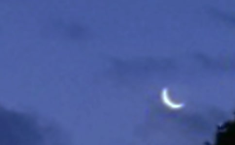 [优选]月亮的作文300字