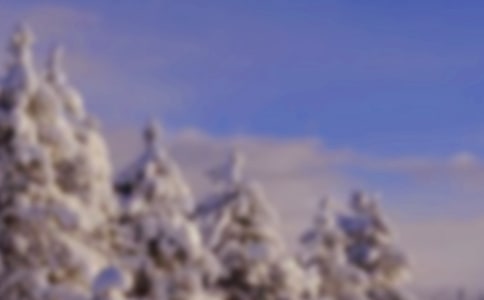 （热）冬天雪景作文