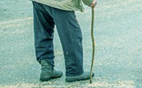 爷爷作文400字【精选4篇】