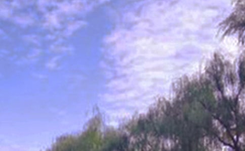 乡村景色作文合集5篇