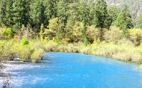 (精品)冬天的九寨沟作文