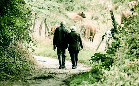 爷爷作文[精选10篇]