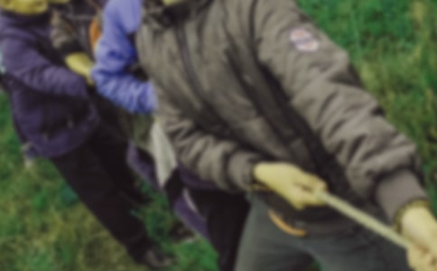 记一次精彩的拔河比赛作文500字