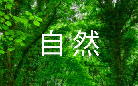 [通用]大自然的作文300字8篇