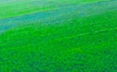 (精品)田野作文4篇