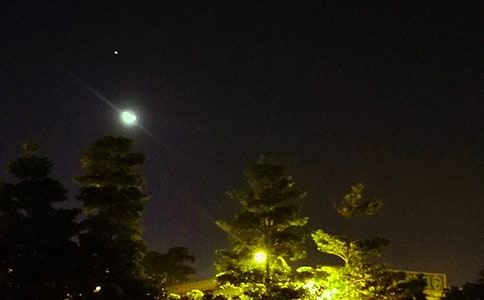 通用晚安心语语录集锦31句