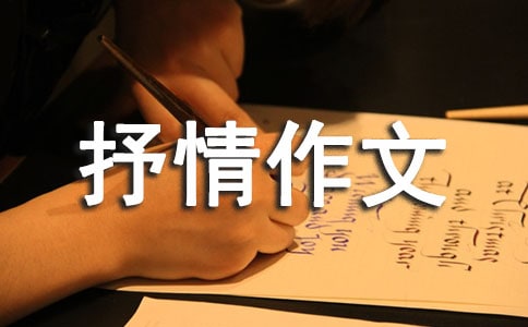 (精品)抒情作文300字