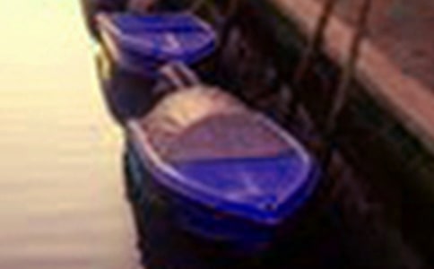 西湖美景作文300字