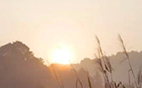 常用真诚温暖的早安心语朋友圈汇编46句