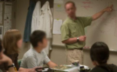 我的老师作文精品15篇