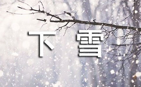 下雪了作文300字合集5篇