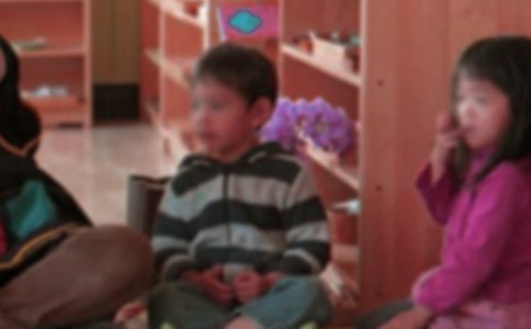 幼儿园小班教案：《有趣的萝卜》