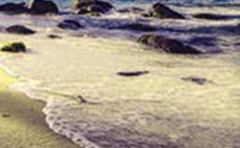 【精选】西湖美景作文300字三篇