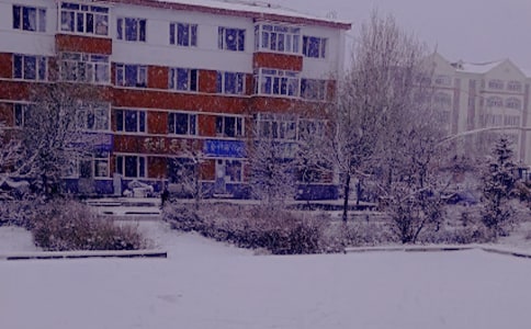 冬日的阳光作文必备(6篇)