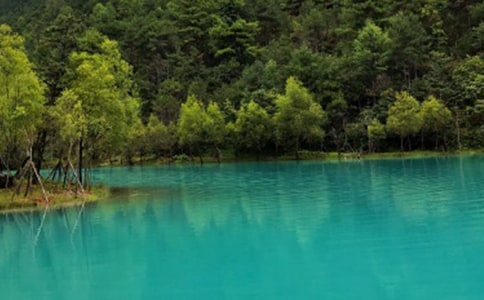 [荐]丽江古城游记作文