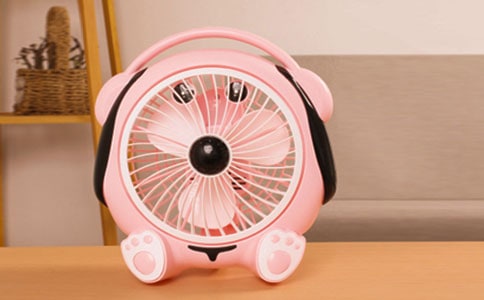 风扇作文600字十篇