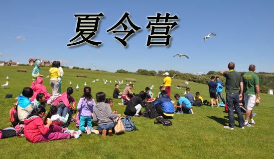 夏令营的作文6篇[荐]