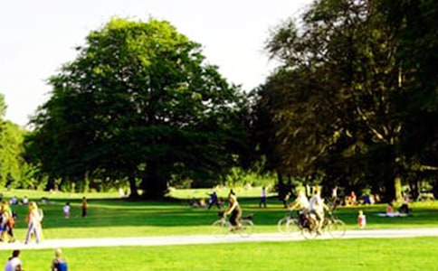 西湖公园作文400字五篇